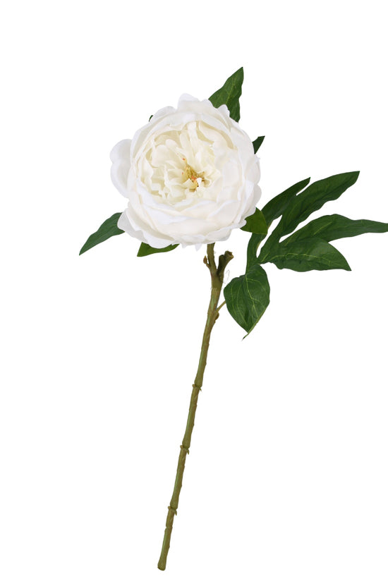 Sadie Real Touch Peony, Cream or Champagne 58cm Faux Stem