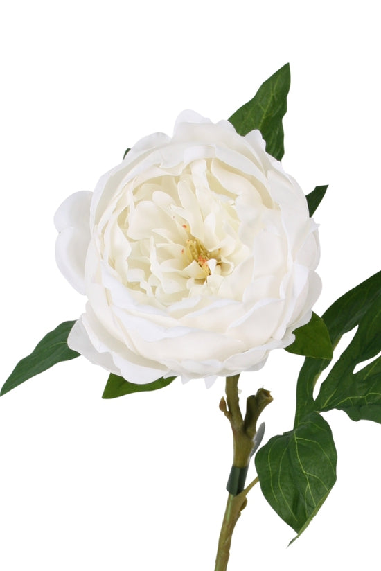 Sadie Real Touch Peony, Cream or Champagne 58cm Faux Stem