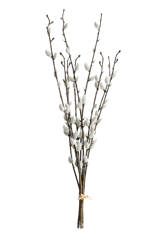 Faux pussy willow bundle with soft silver catkins