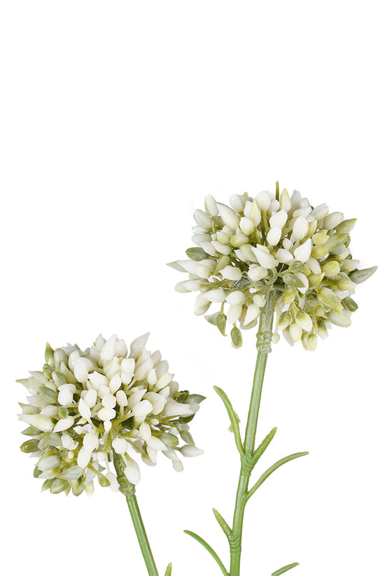 Mini Allium Stem, Cream 46cm Faux Flower