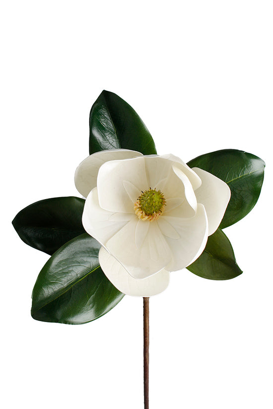 Southern Magnolia Spray, White 60cm Faux Bloom