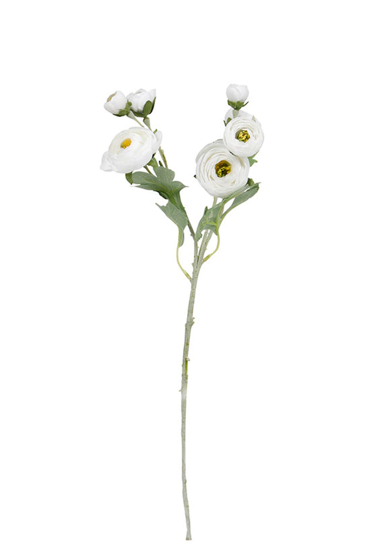 Faux white ranunculus spray with several blooms and buds, on white
