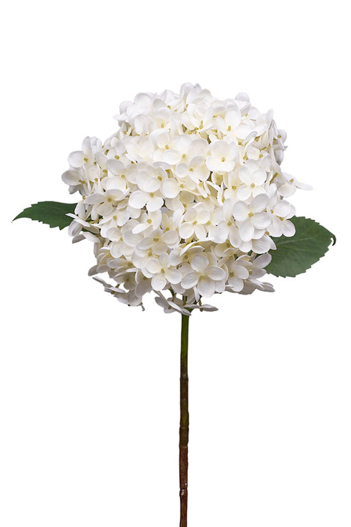 Artificial Annabelle Hydrangea flower with cream-colored petals and green leaves, single stem.