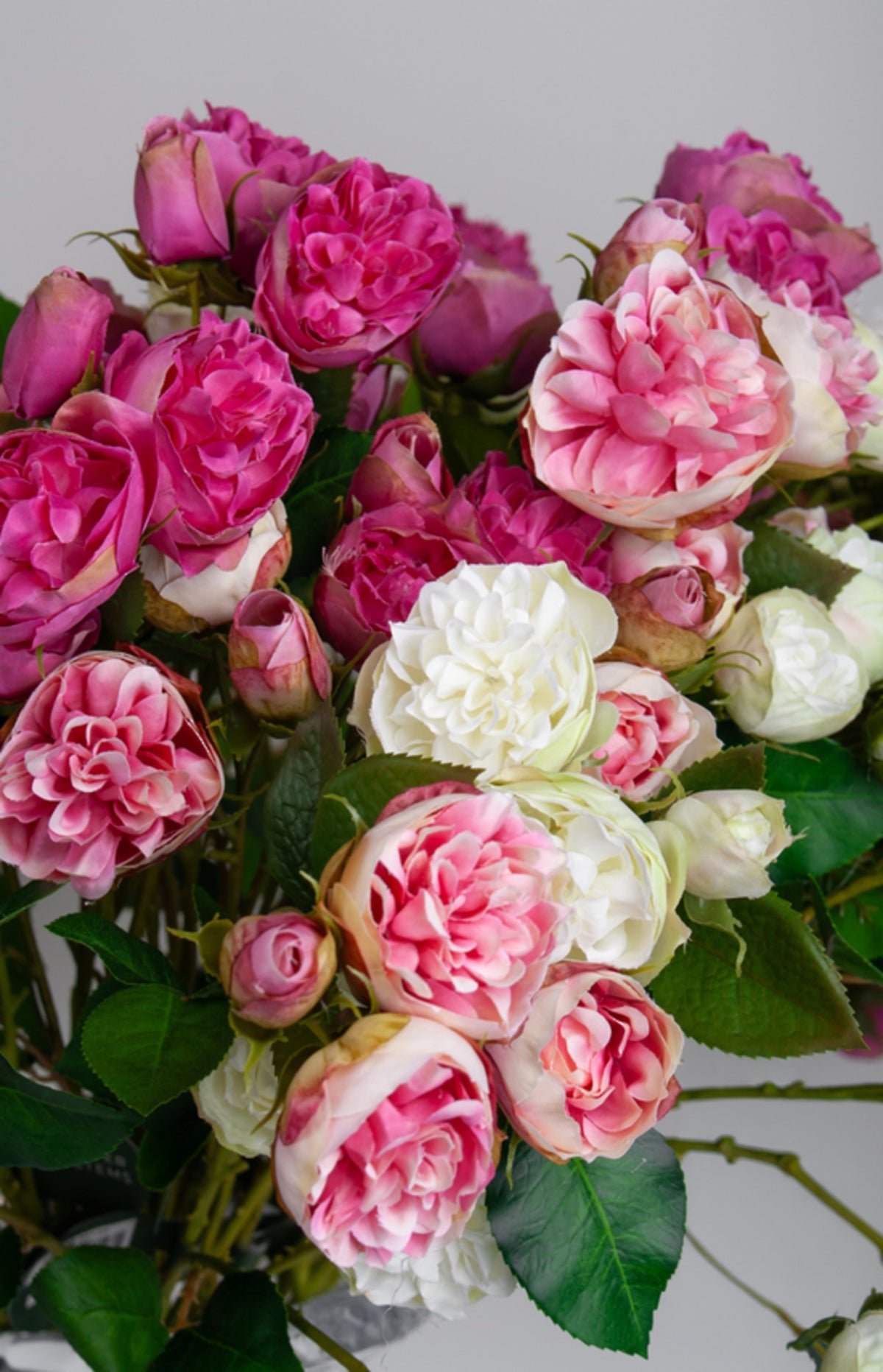 Close mass of bourbon roses in white, soft pink and deep pink tones
