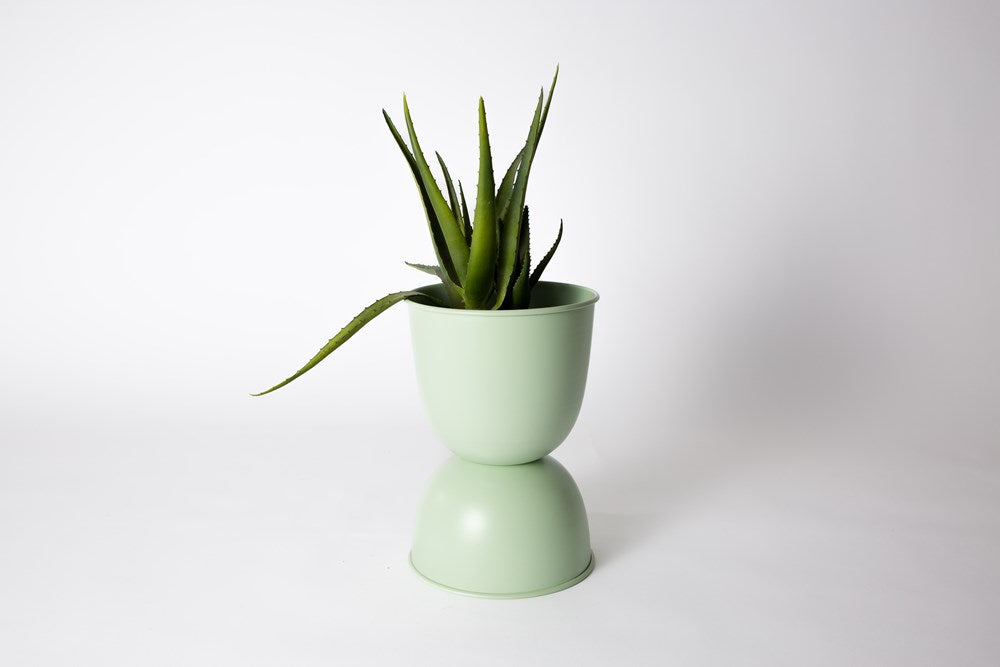 Small sage Domes planter holding a grassy green plant