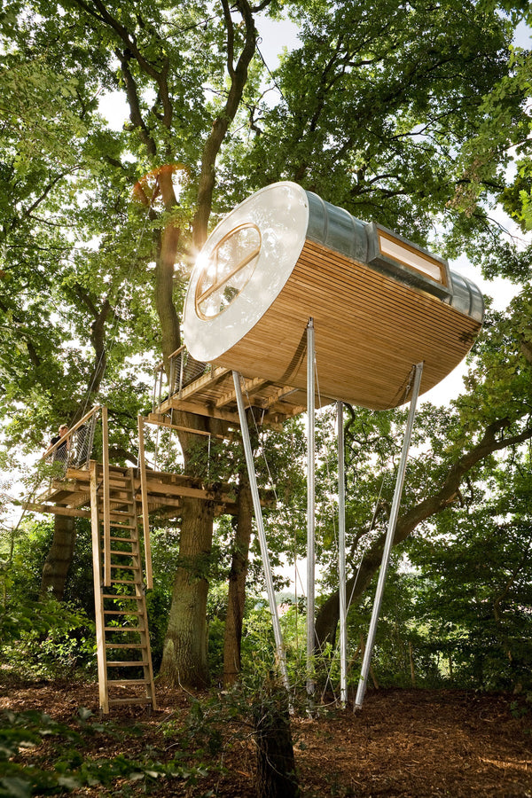 A contemporary refuge in the middle of the woods, where Rock the Shack books are showcased in a unique tree house.