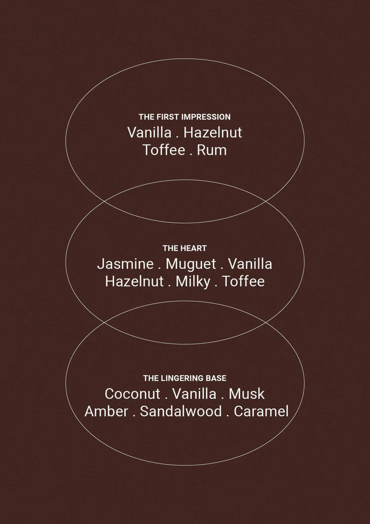 Fragrance notes card for Vanille & Hazelnut Ambre showing top, heart and base notes in circles
