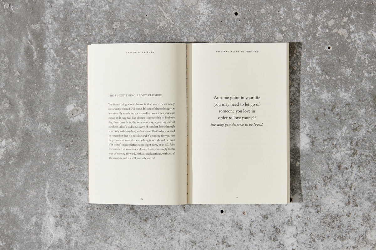 Passage from This Was Meant To Find You by Charlotte Freeman