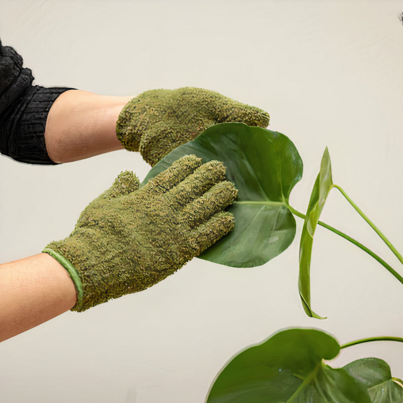 Gloved hand wiping dust from a green plant leaf