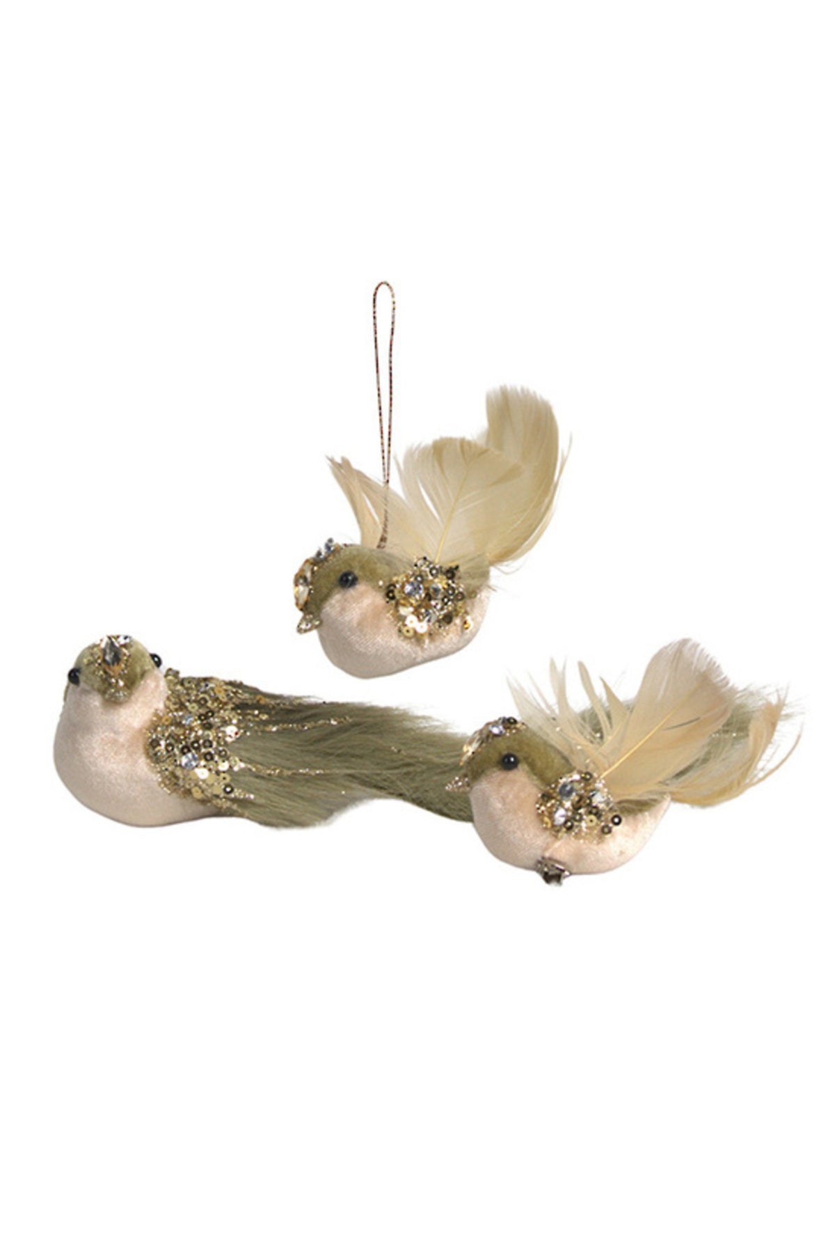 Forest finch queen clip-on bird shown with the chick and hanging finch