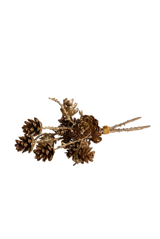 The pine cone bundle laid flat, cones clustered at one end of the bound stems