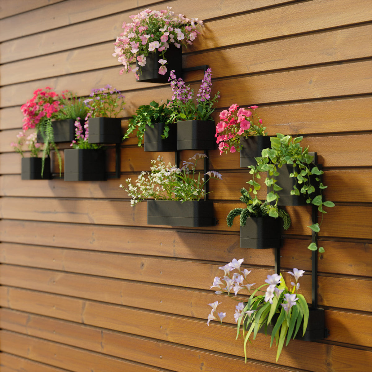 Umbra Cubiko wall planters on timber cladding holding flowering plants outdoors