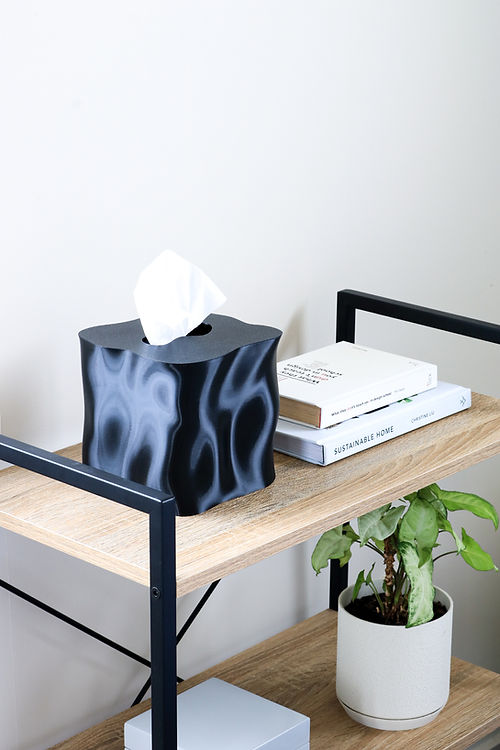 Glossy black Ebb tissue box cover on a shelf beside a potted plant