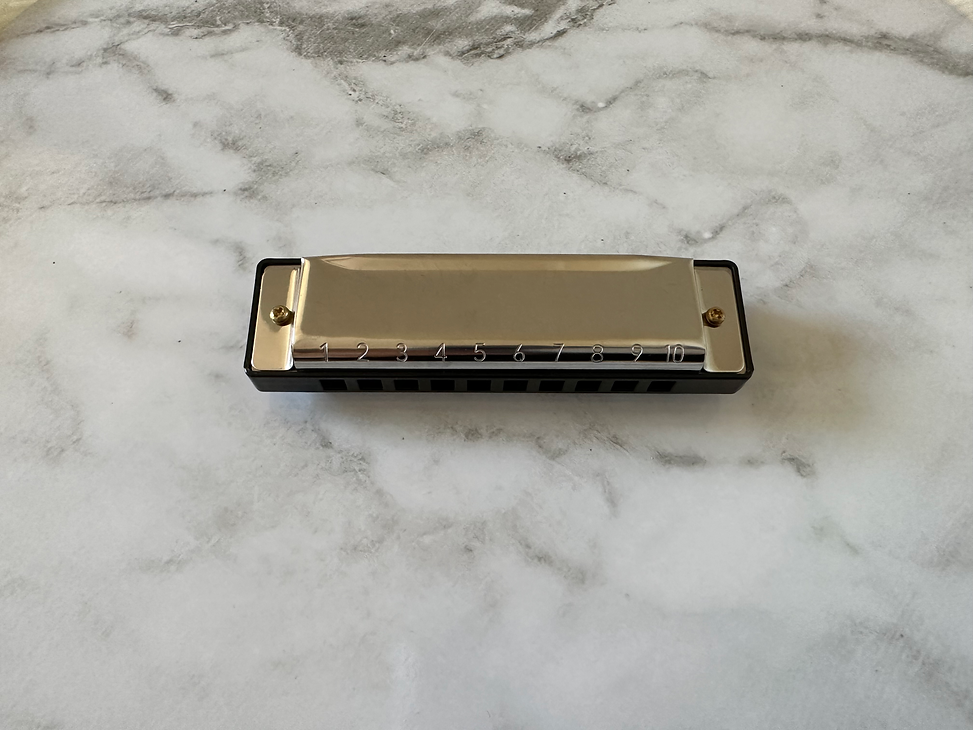 Jaclyn & Matisse Children’s Harmonica – Wooden Musical Toy with Case
