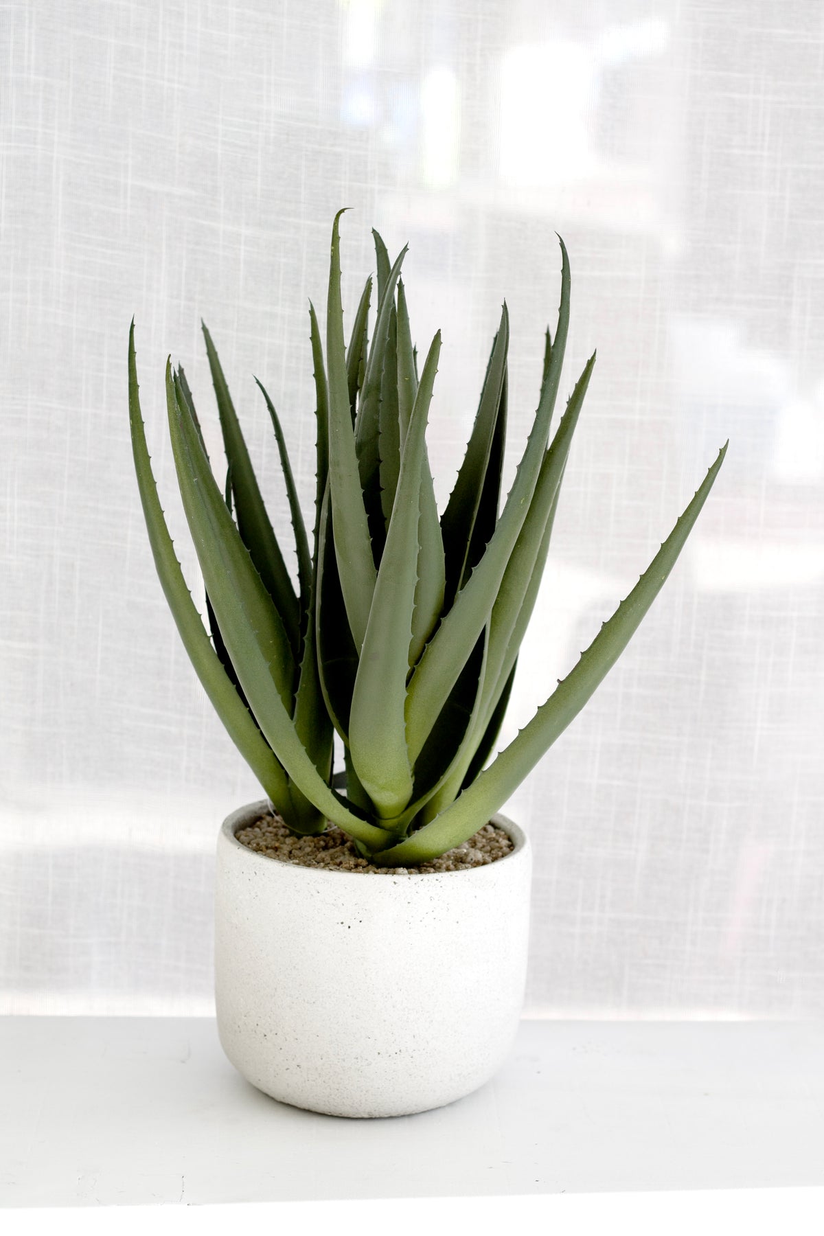 Close-up of artificial aloe plant in raw cement pot