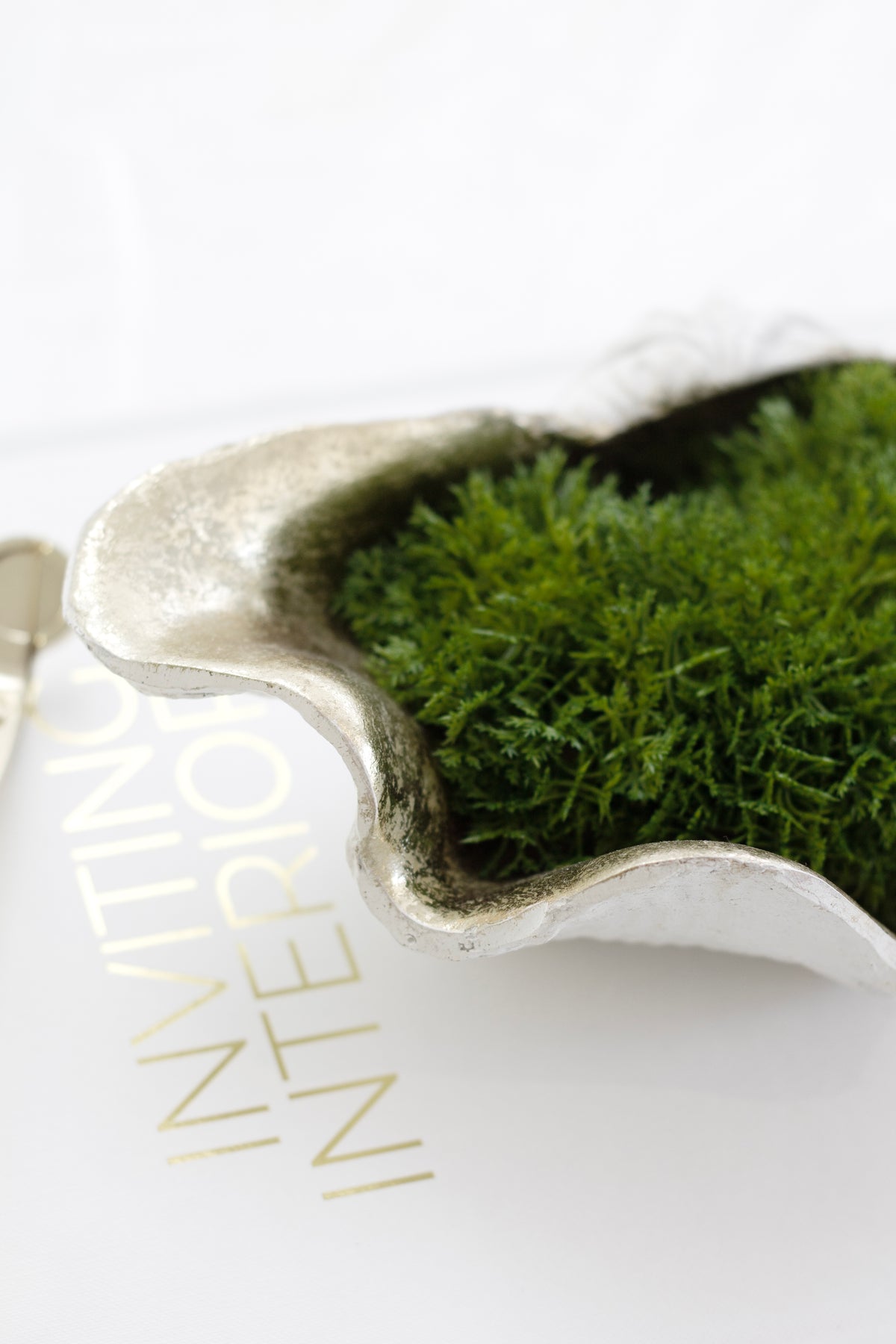 Champagne clam shell filled with green moss on a white coffee table book