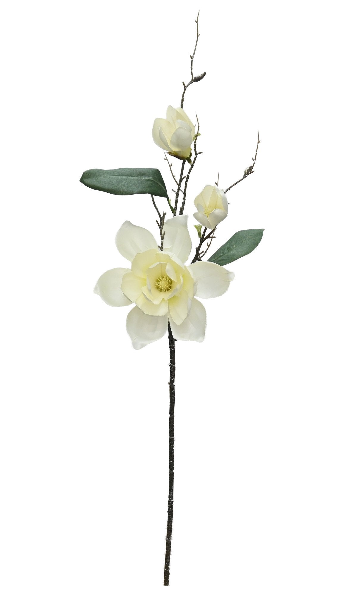 Ivory faux Chateau Magnolia stem, 80cm tall with open blooms, closed buds and slim green leaves.