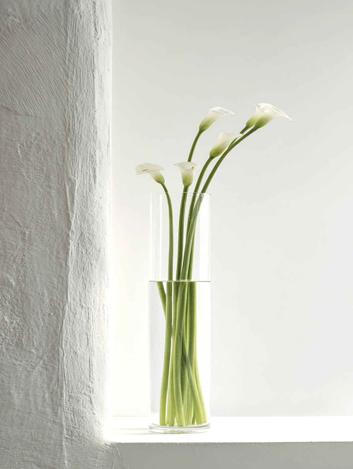 White calla lilies in a clear glass cylinder vase on a sunlit white windowsill