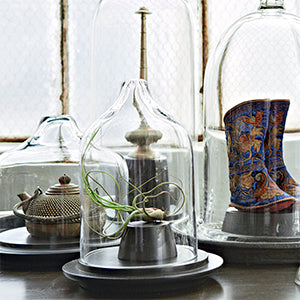 Page from Inside Stories showing glass cloches over a plant and a patterned boot