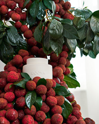 ECOYA Electric Wax Melter surrounded by lychee fruits and tropical foliage evoking the Guava & Lychee Sorbet fragrance.