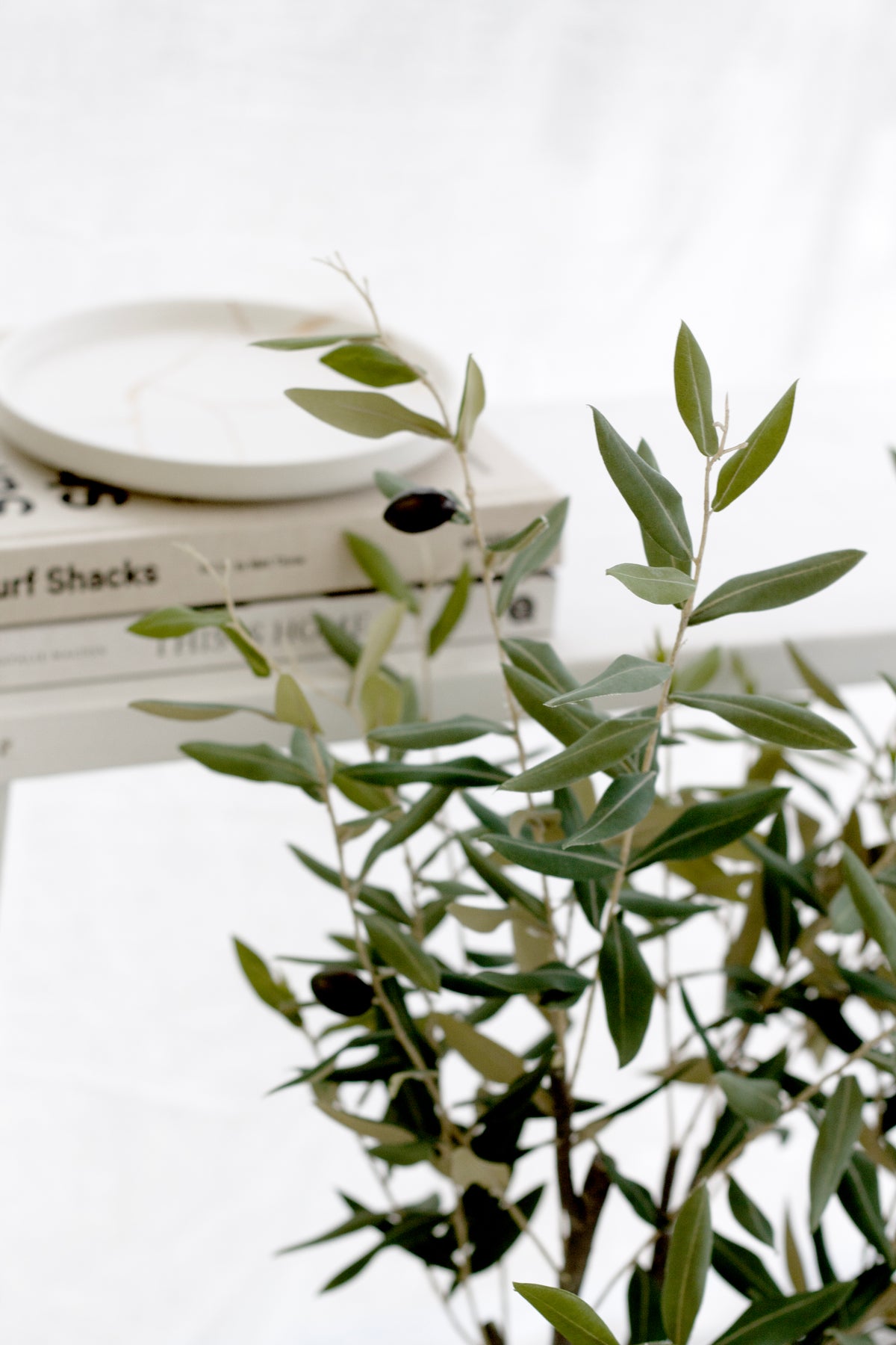 Close view of the faux olive tree's leaves and black olives beside coffee table books