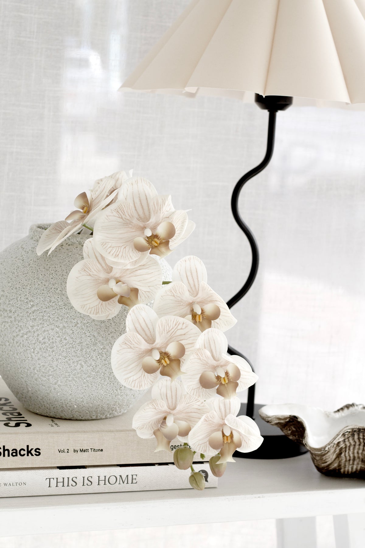 Cream orchids in a pale speckled vase on a bench with a lamp, stacked books and a shell