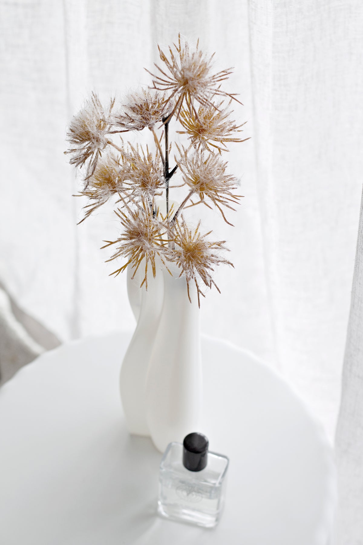 Rust allium stems in a curved white vase on a round table, small glass bottle alongside