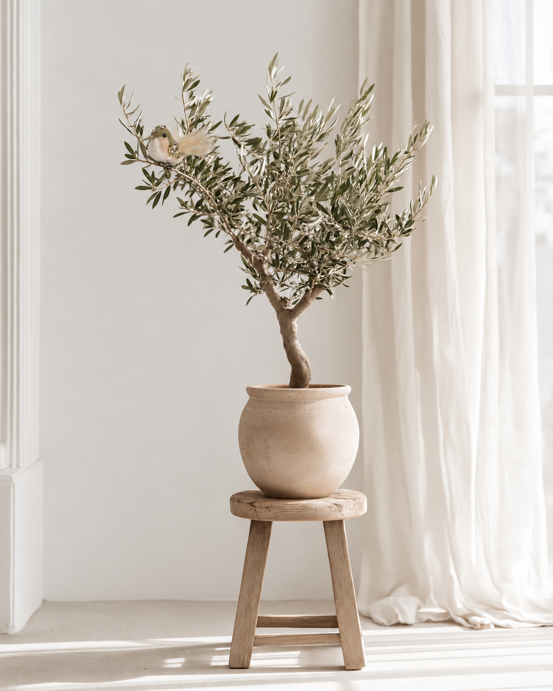 Forest Finch chick clip-on bird perched in a potted olive tree on a timber stool beside sheer curtains