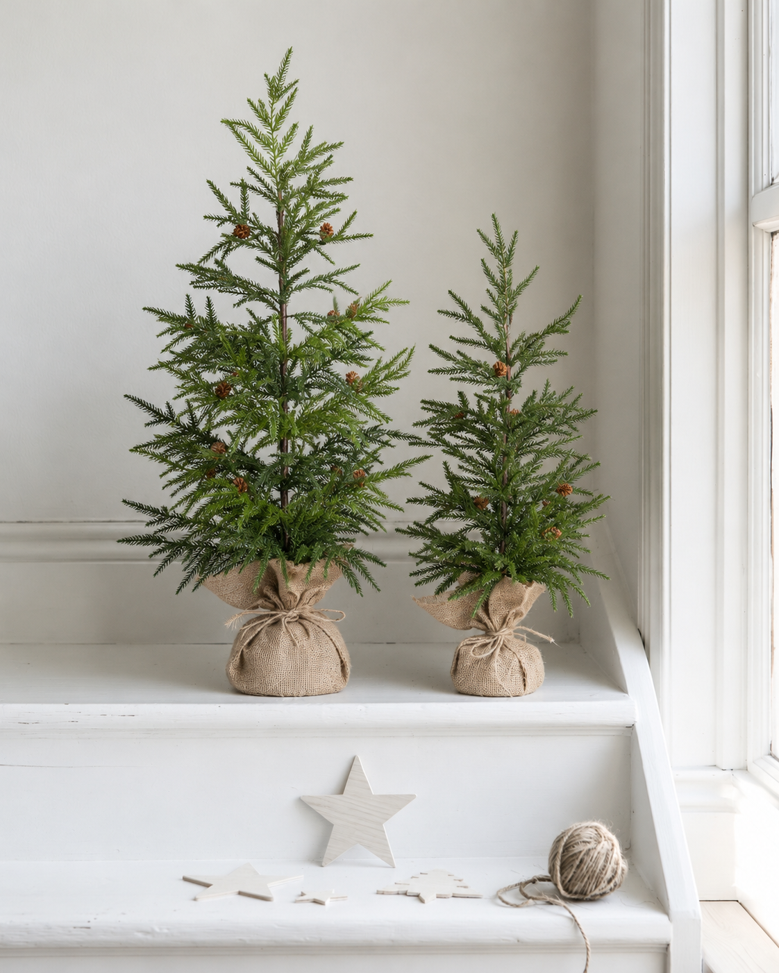 Two fir potted Christmas trees in burlap, 85cm and 60cm, on a white window ledge