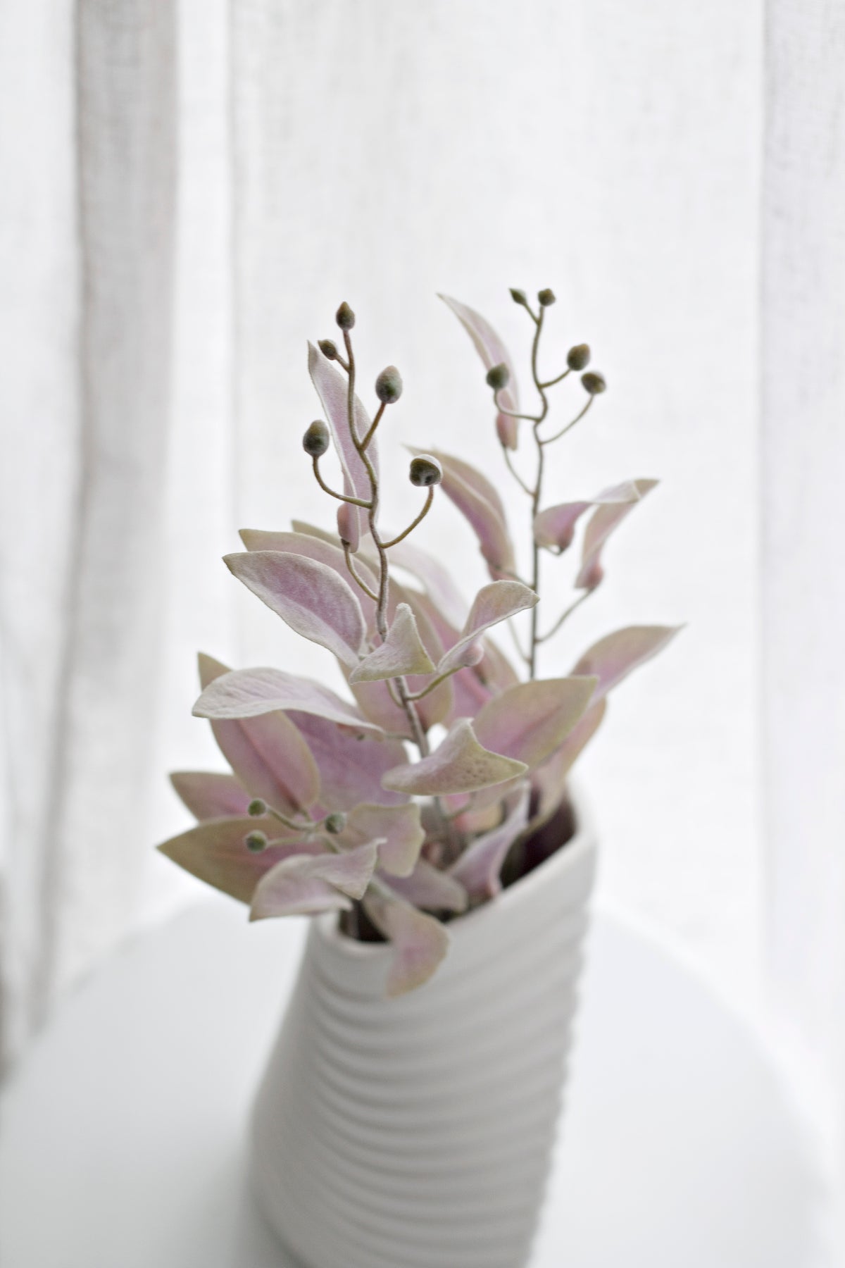 Pink and sage garden spray with seed heads in a ribbed white vase, close crop