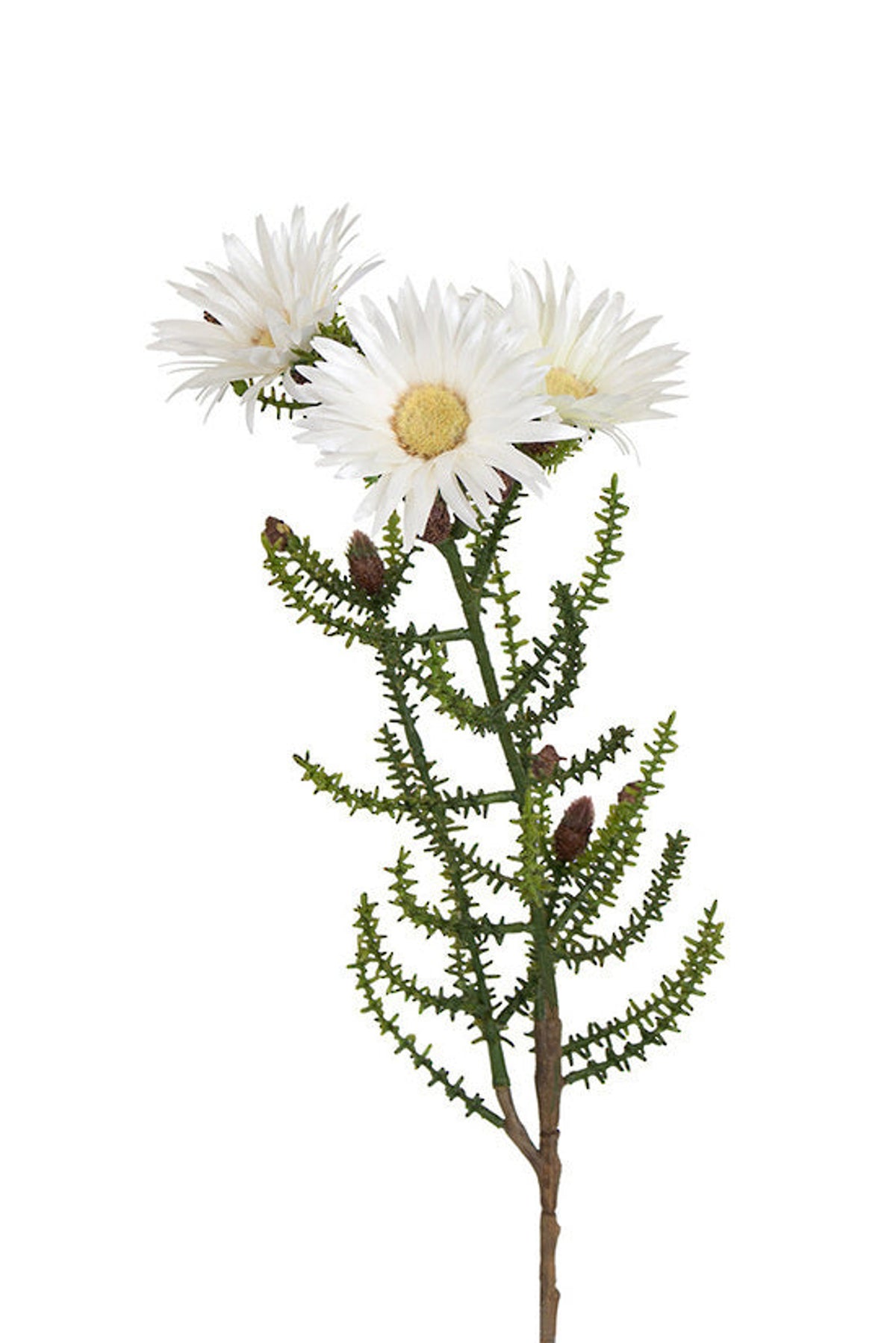 Kaaps spray in white and green, faux cape daisy stem with small open heads