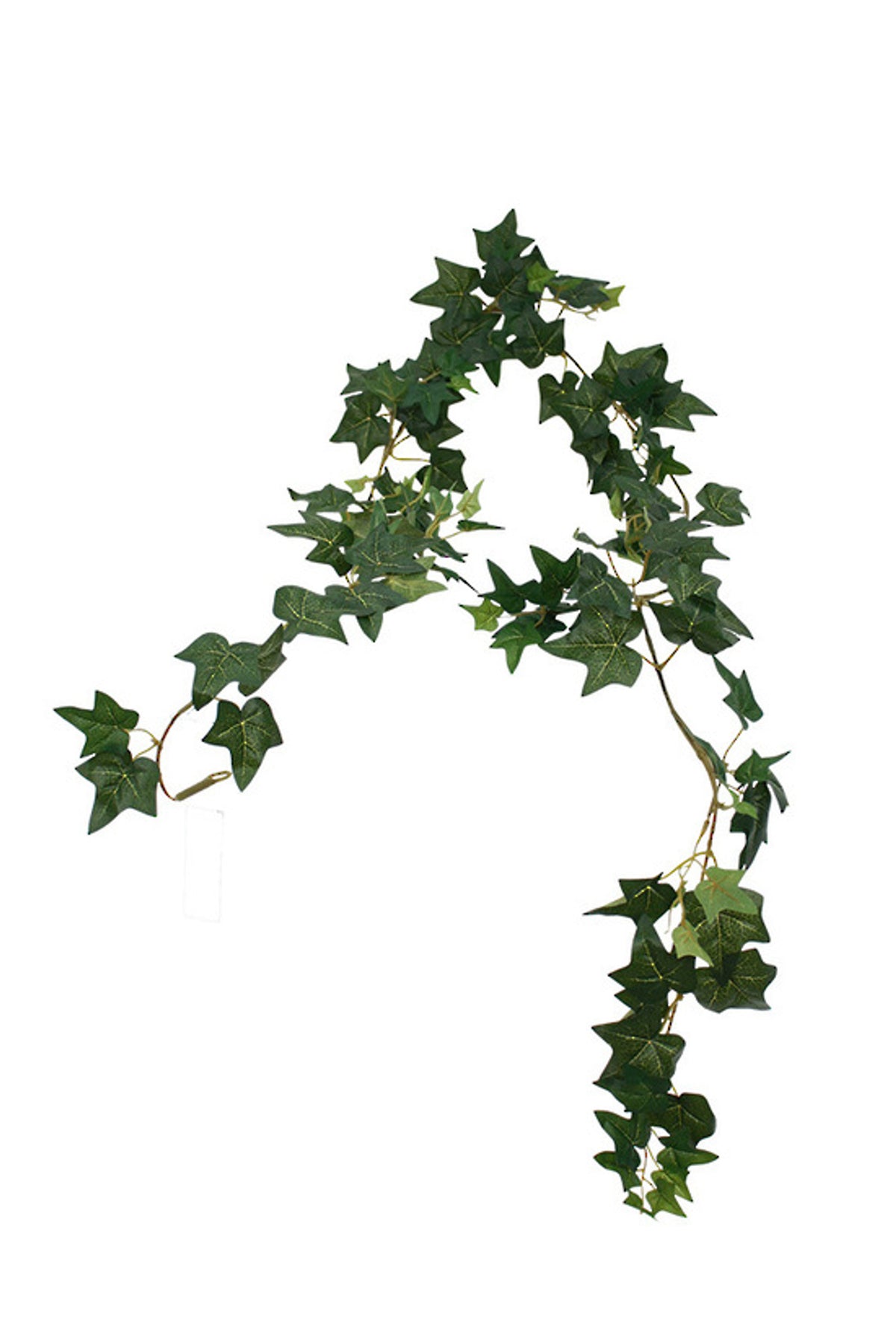 Mini English Ivy Garland draped in a loose curve