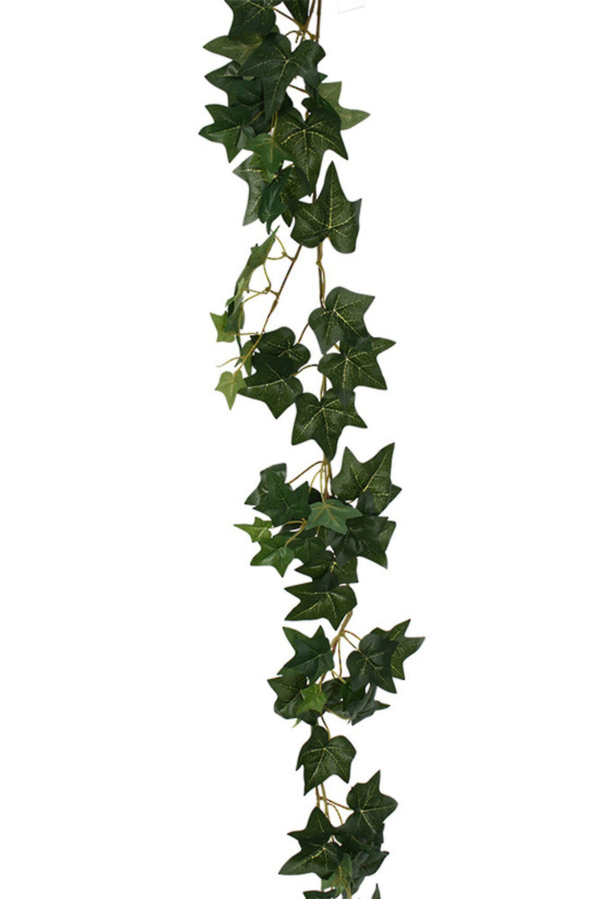 Mini English Ivy Garland, hanging strand of small dark green ivy leaves