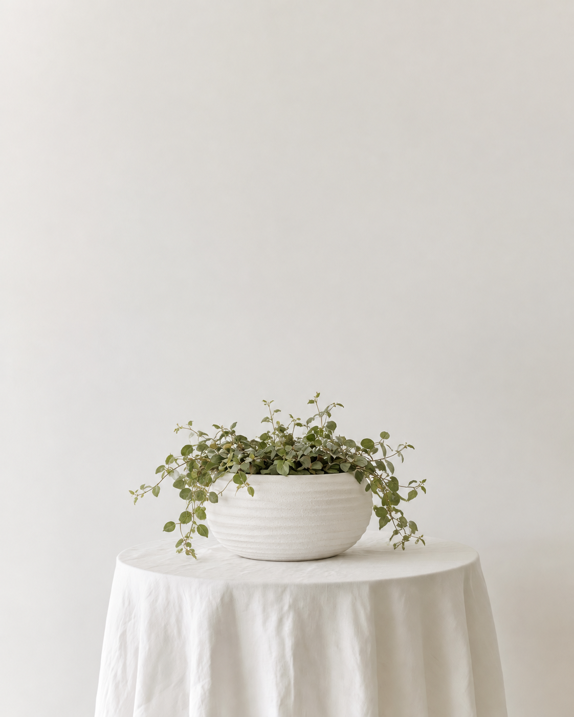 Kianna Terracotta Bowl and Planter in matte white with a trailing green plant on a linen-draped side table
