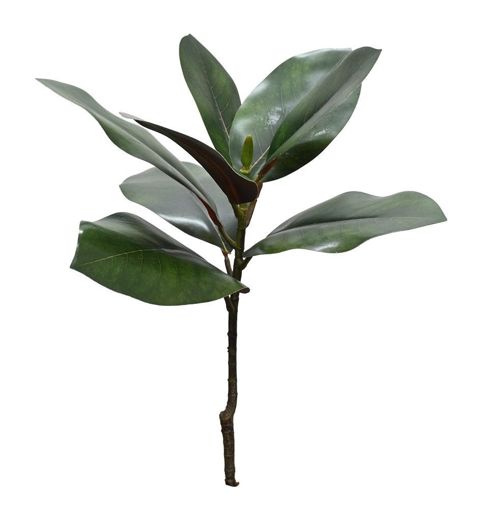 Faux magnolia leaf branch, 50cm stem of glossy deep green leaves with a burgundy underside and a tight bud.