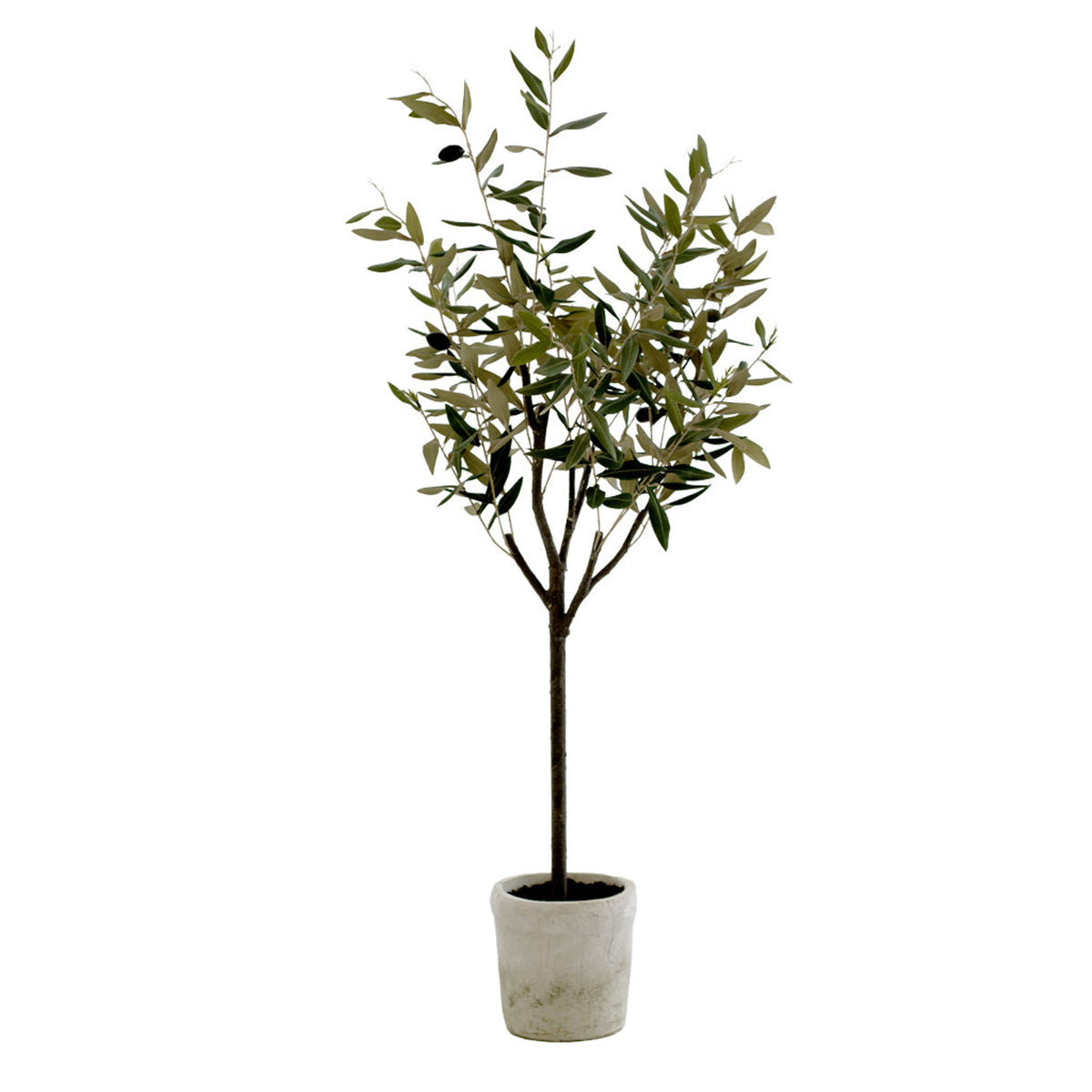 Faux Frantoio olive tree, 1m, in a small clay pot, on white