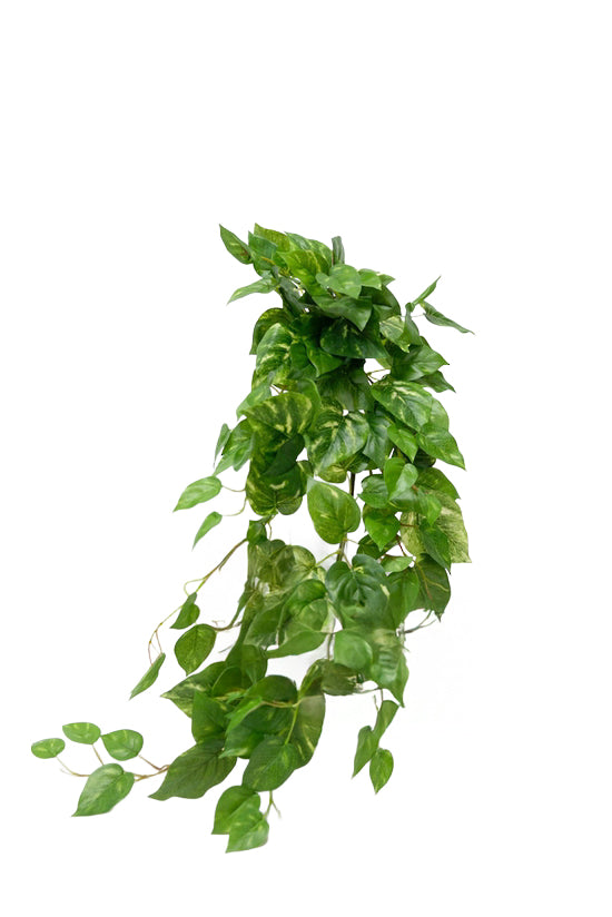 Large Variegated Pothos Bush, 89cm Faux Greenery