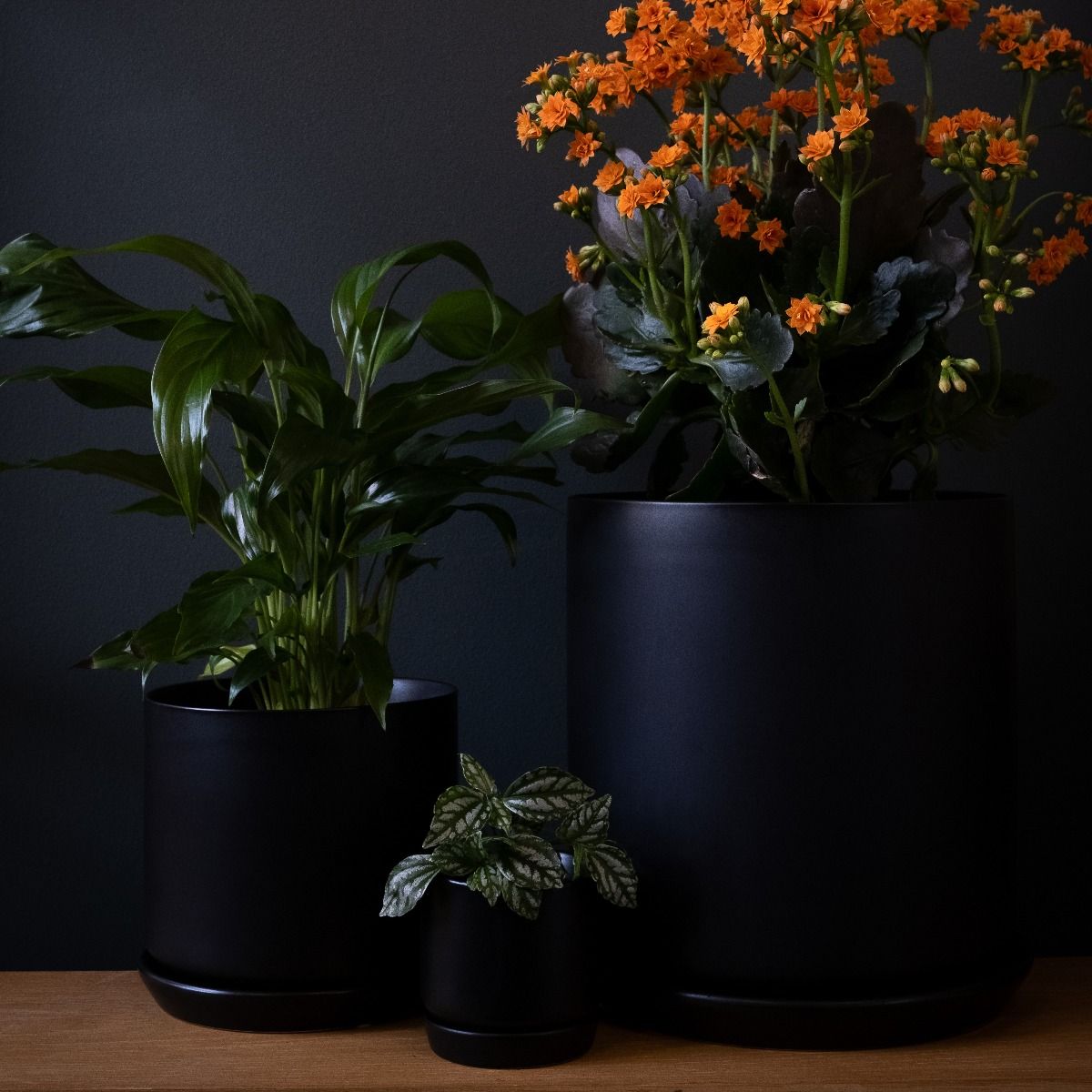 Oslo Jet Black planter styled in a calm Scandinavian interior beside a framed art print