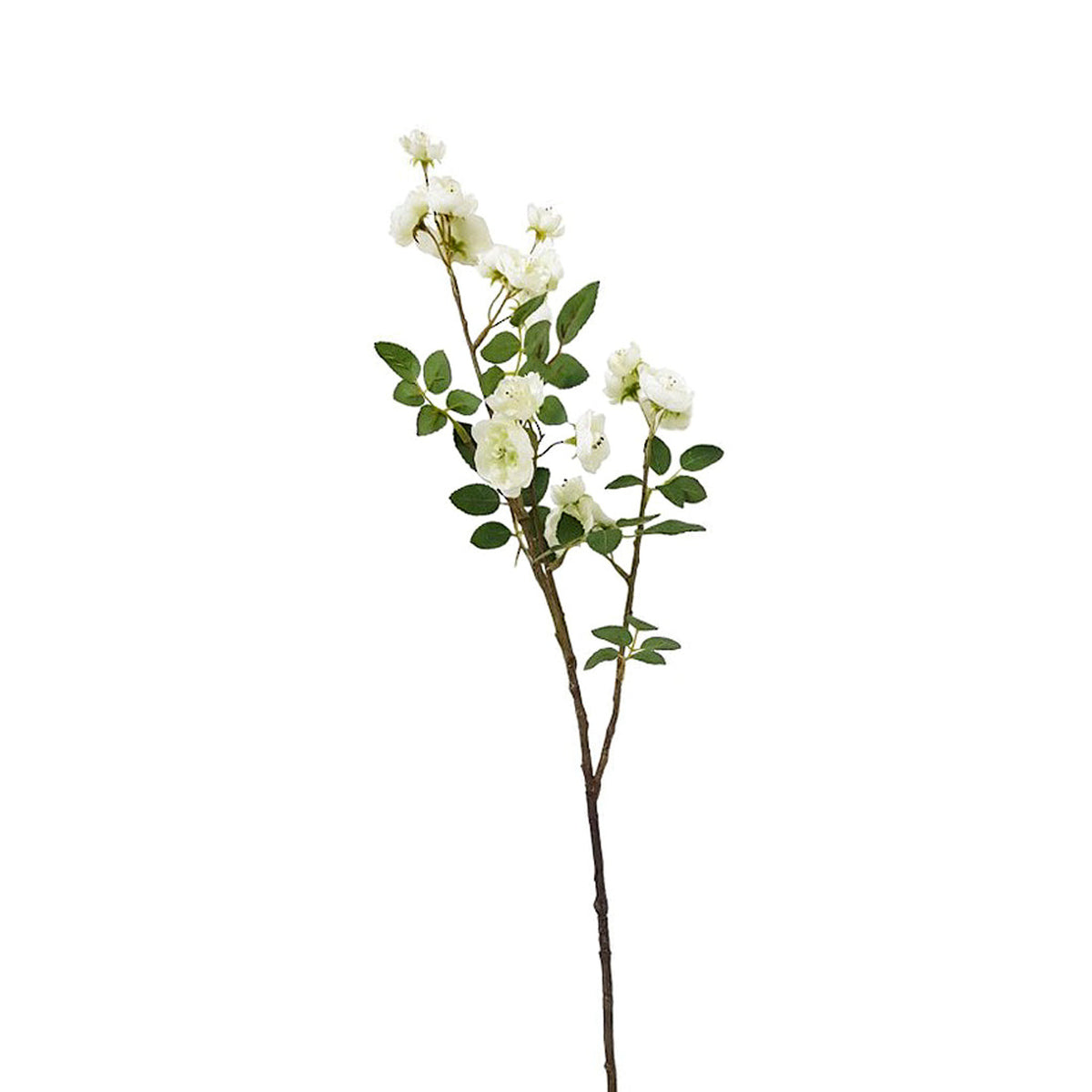Rambling rose spray in cream, 76cm faux climbing rose stem with clusters of small open roses