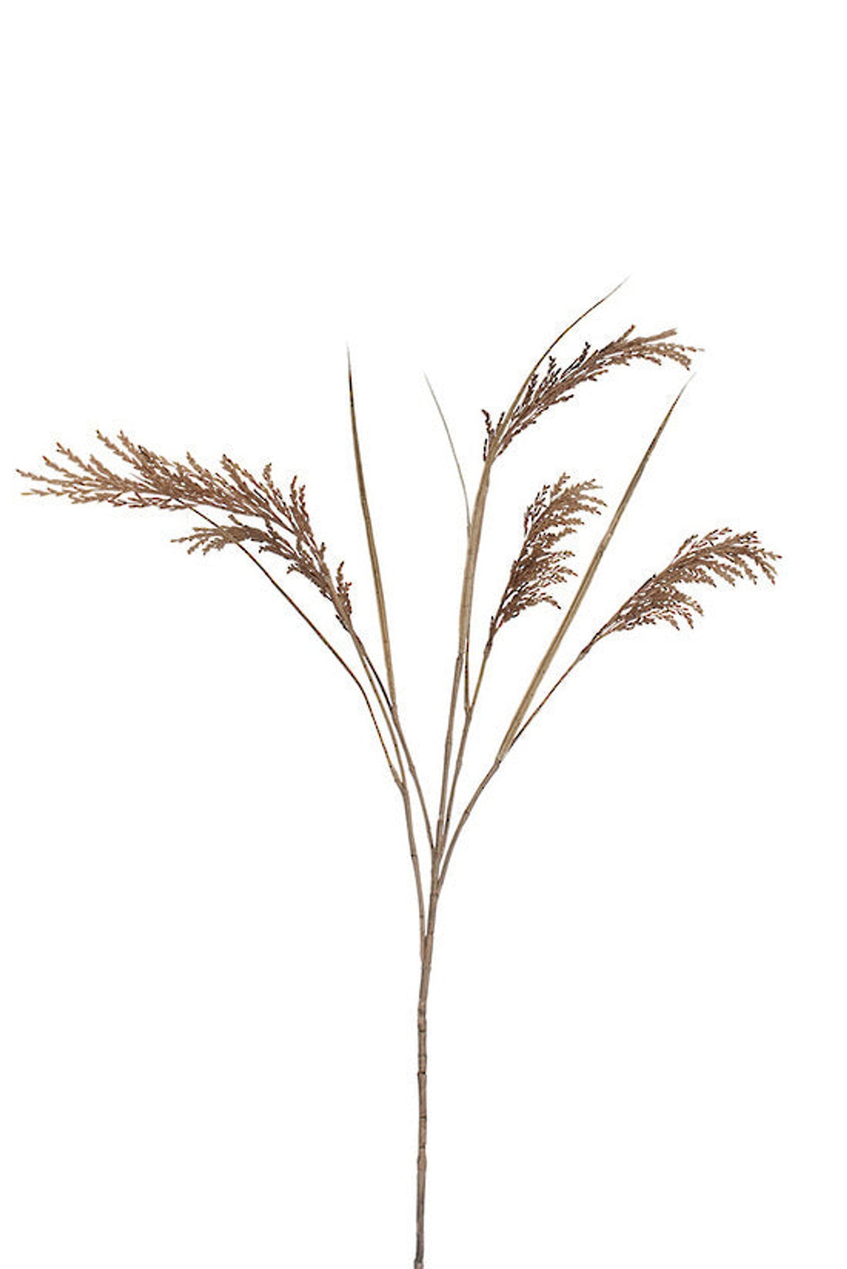 Rice plant five head spray in toasted natural, faux dried rice grass with arching grains