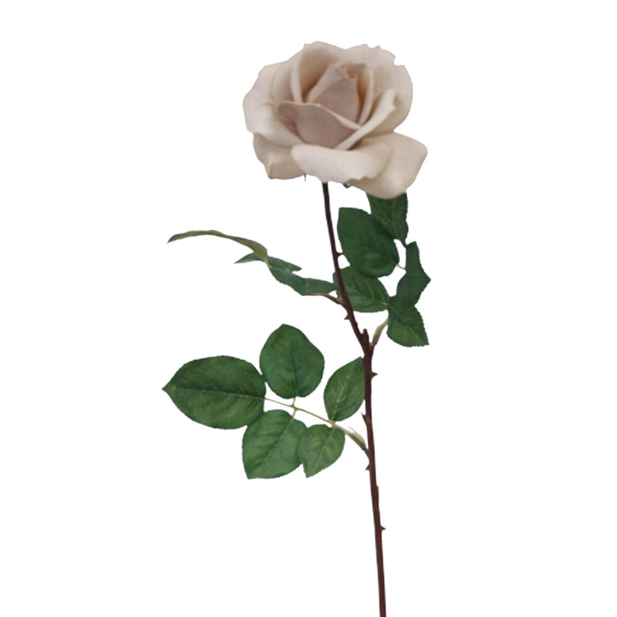 Light brown faux tea rose stem with green leaves, on white