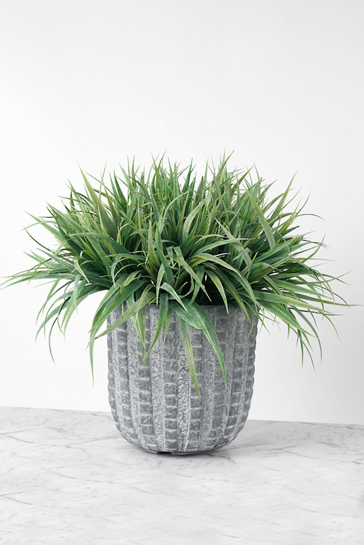 Ryegrass Bush in a grey ribbed cement-look planter on a grey floor