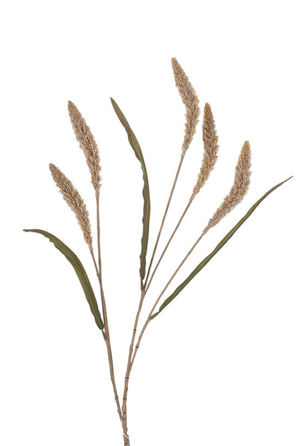 Setaria five head spray in beige, faux foxtail grass with soft arching plumes