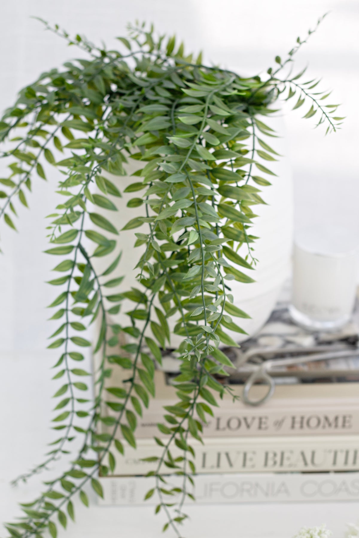 Fern fronds arching above a stack of coffee table books and a white candle