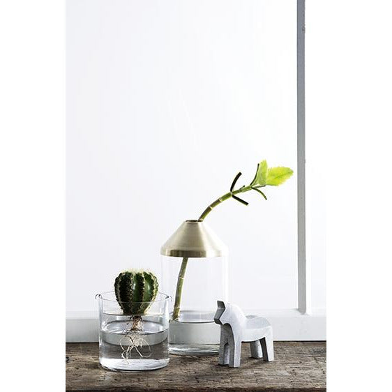 A Zakkia botanical cactus in a glass vase and a Zakkia cactus in a small brass vase.