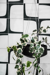 Embers Wall Planter - Large Charred in black and white with an organic finish on a tiled wall. (Brand: Zakkia)