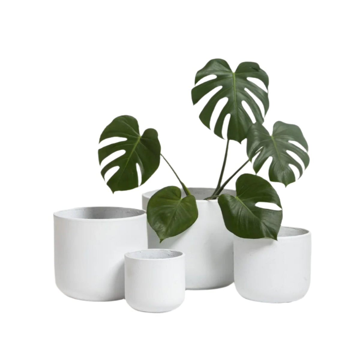 Rustie Pot Set cement planters indoor outdoor by Ned Collections