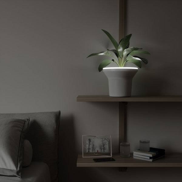 An ORA Illuminated Planter from the Umbra range sits on a shelf in a bedroom.