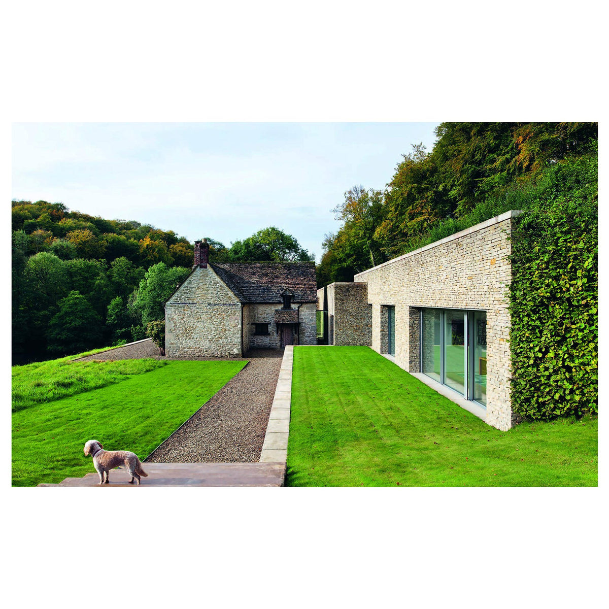 A Resident Dog Volume 2 | Nicole England book is standing in front of a stone house.