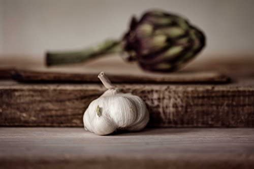 A Life Less Ordinary page spread showing a still life detail